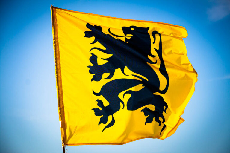 Vlaamse leeuw strijdvlag